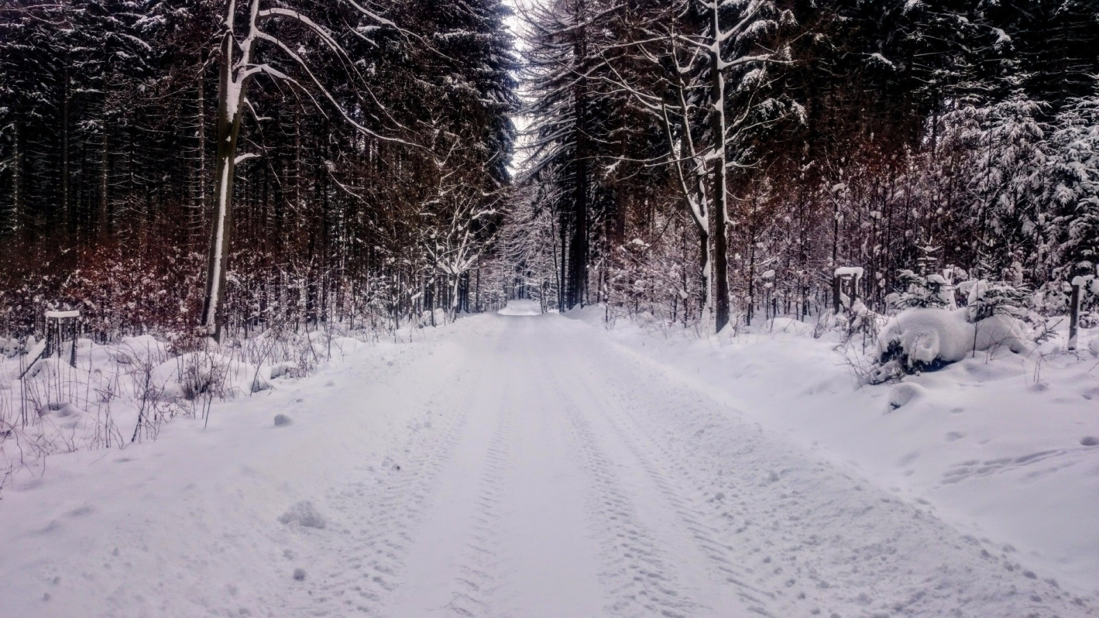 Projet� cyklostezka od V��inky pod Li��� horu