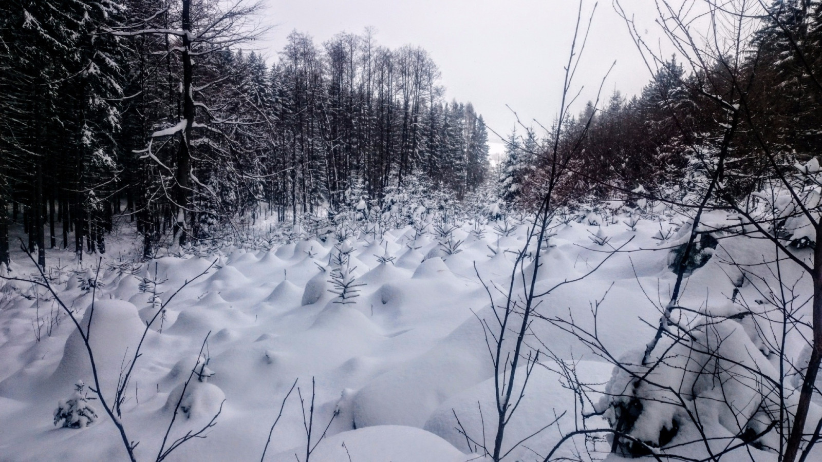 Sn�hov� trpasl�ci pod Li��� horou